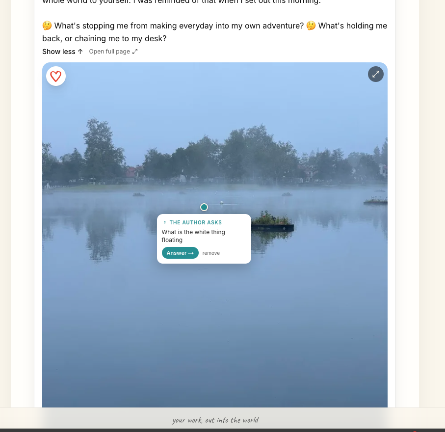 A photo with a pinned question anchored to a point in the image